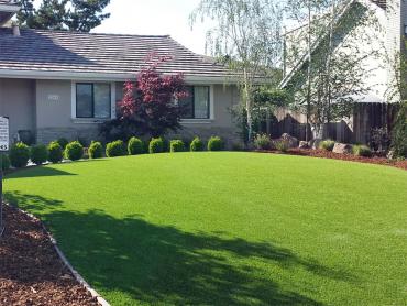 Artificial Grass Photos: Synthetic Pet Turf Irvine California Back and Front Yard